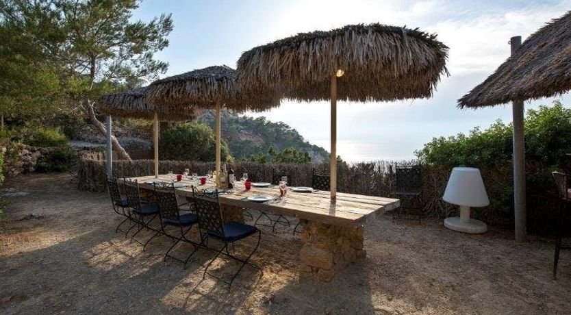 Photo of Zebras Play Tag Too