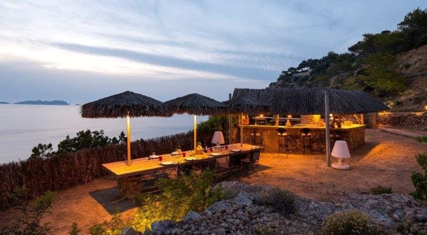 Photo of Zebras Play Tag Too