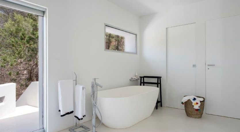 Photo of Zebras Play Tag Too