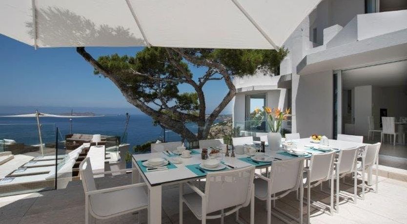 Photo of Zebras Play Tag Too