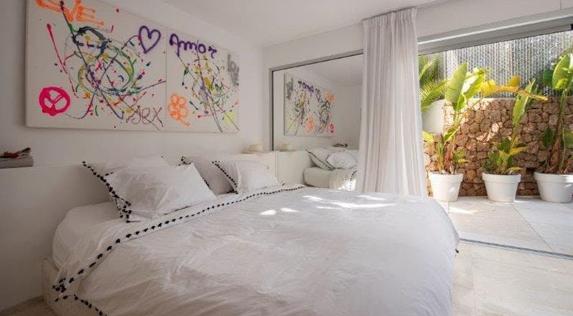 Photo of Zebras Play Tag Too