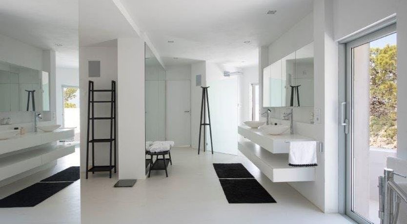 Photo of Zebras Play Tag Too