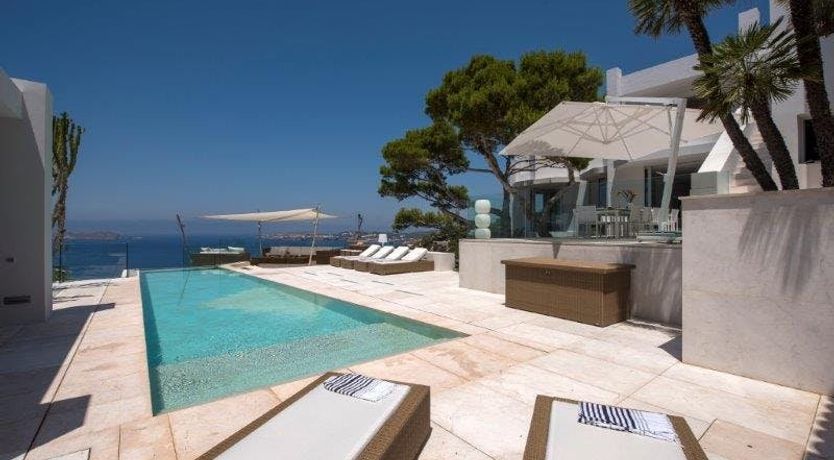 Photo of Zebras Play Tag Too