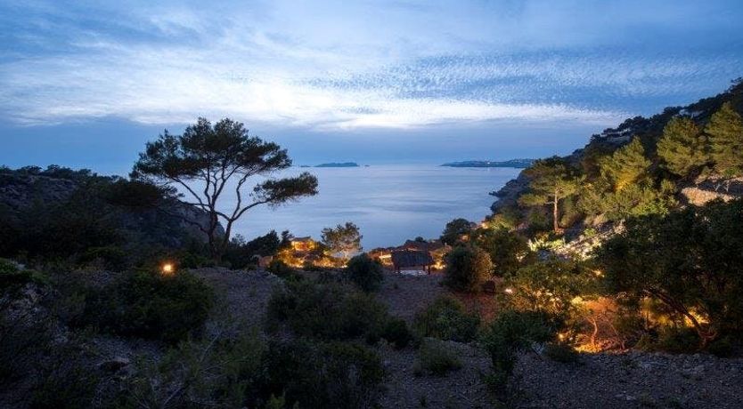 Photo of Zebras Play Tag Too