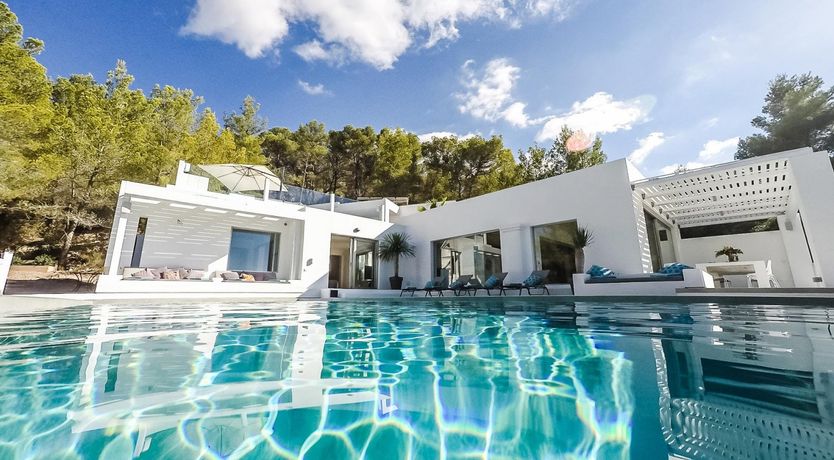 Photo of Between Pines