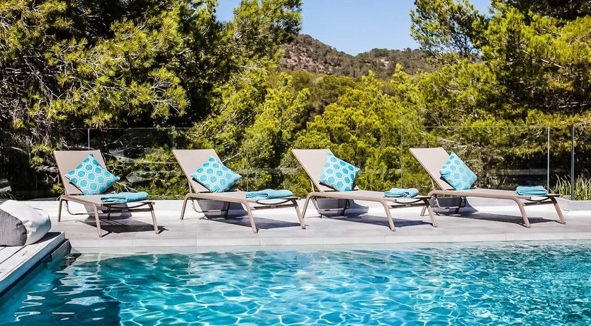 Photo of Between Pines