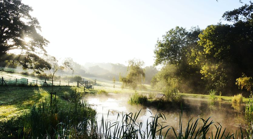 Photo of Whispering Meadow