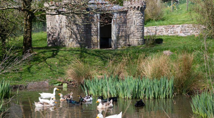 Photo of Whispering Meadow