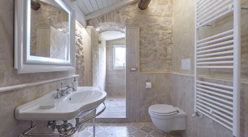 Photo of The Sunflower Blossom