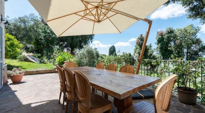 Photo of The Sunflower Blossom