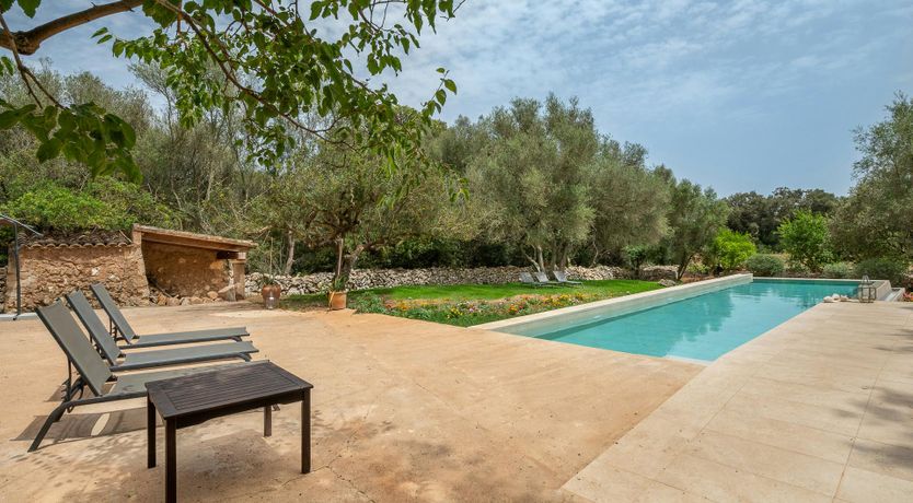 Photo of Forever in our Love