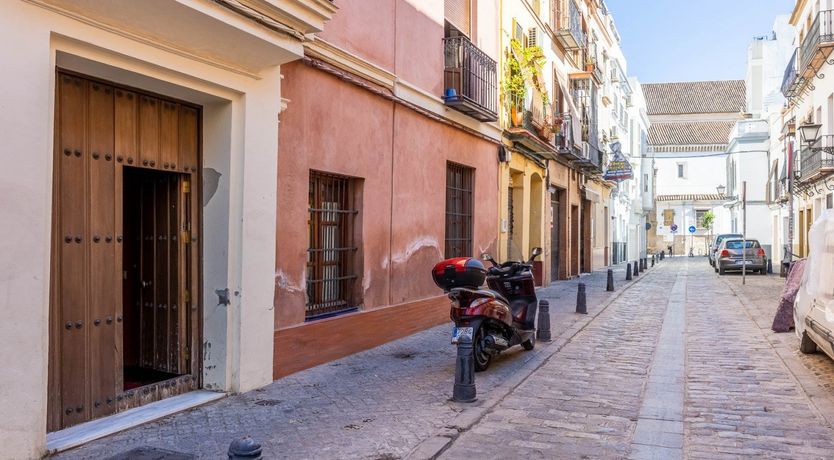 Photo of Seville's Joy