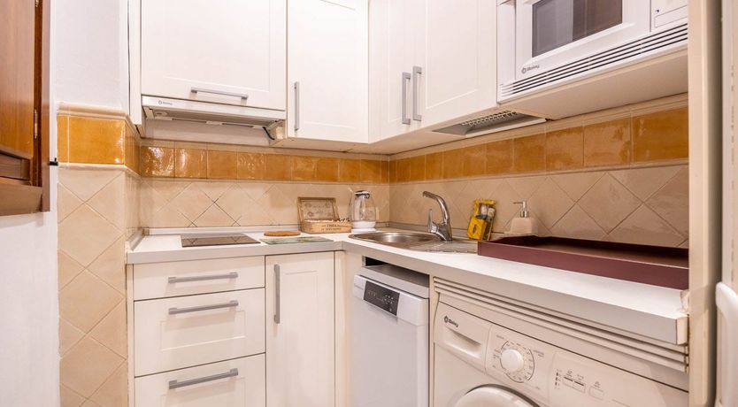 Photo of Seville's Joy