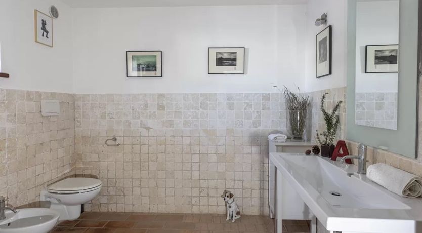 Photo of Chasing the Summer