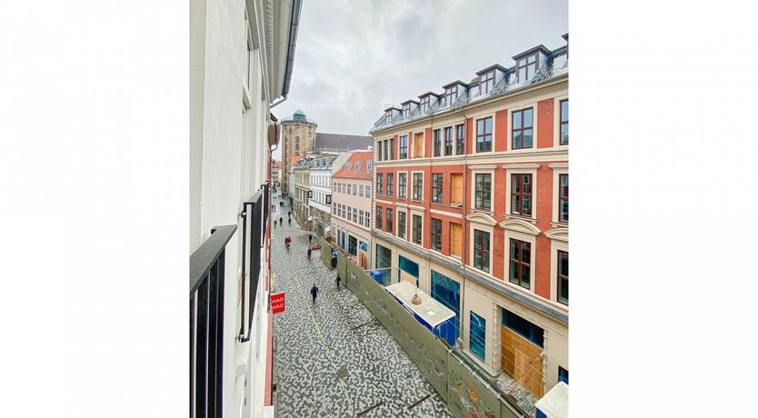 Photo of The Great Dane