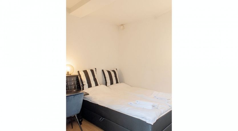 Photo of The Great Dane