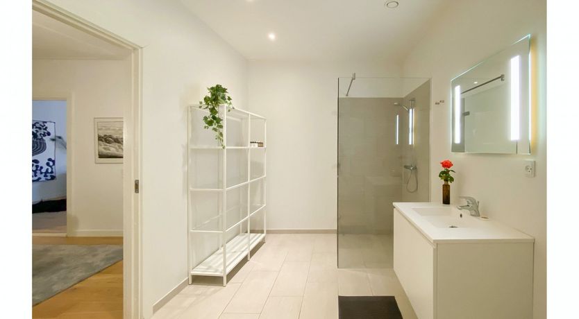 Photo of The Great Dane