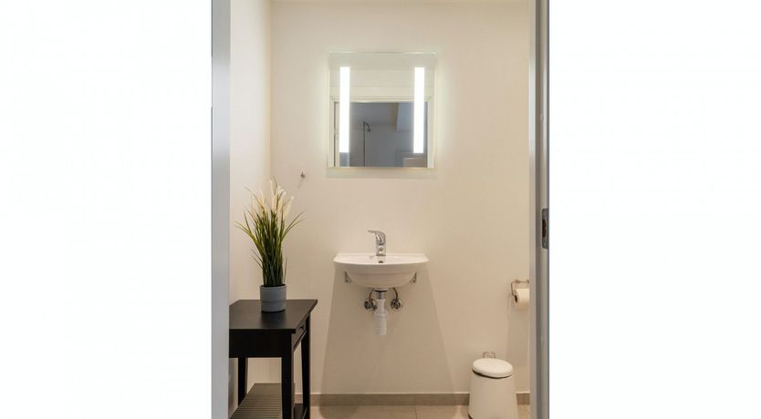 Photo of The Great Dane