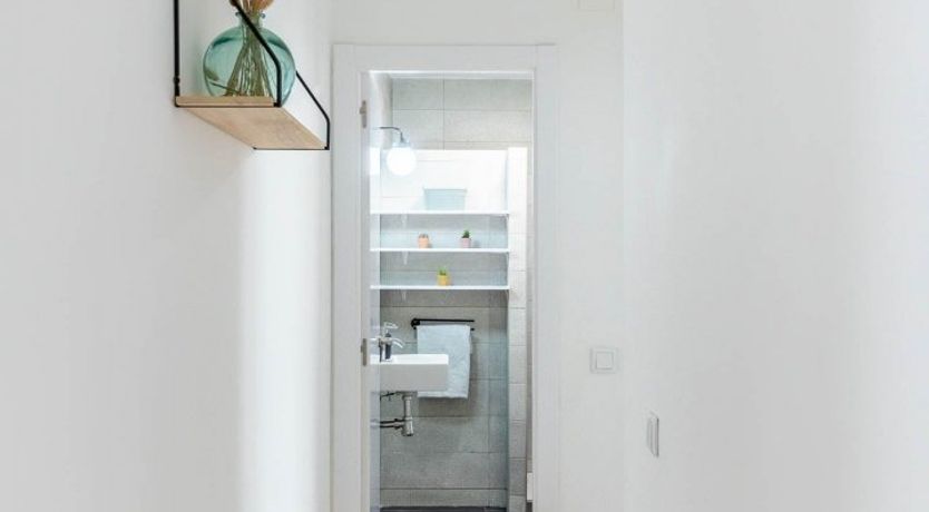 Photo of The Grand Antic