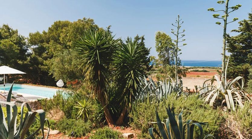 Photo of Ponder the Hills