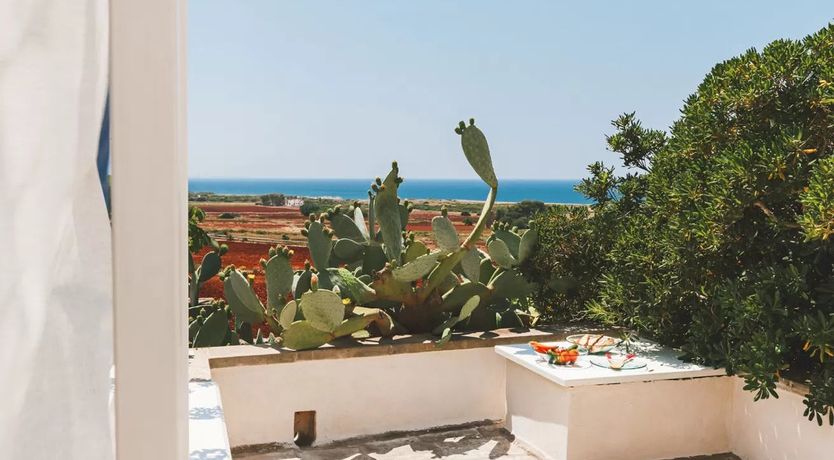 Photo of Ponder the Hills