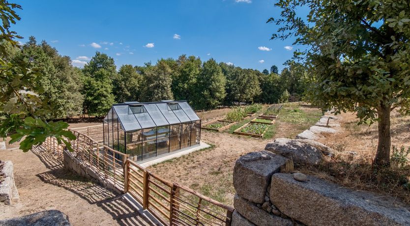 Photo of Iced Tea on the Terrace