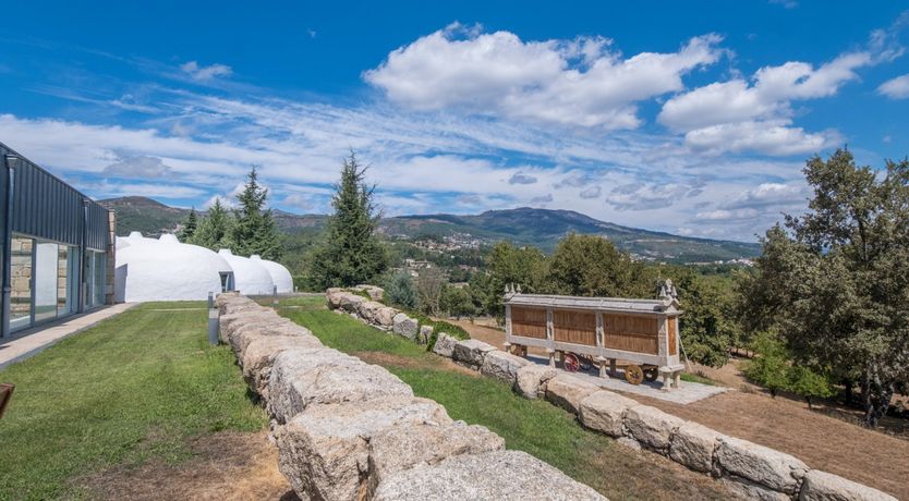 Photo of Iced Tea on the Terrace
