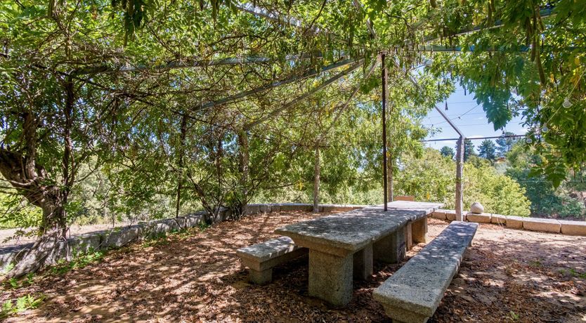 Photo of Iced Tea on the Terrace