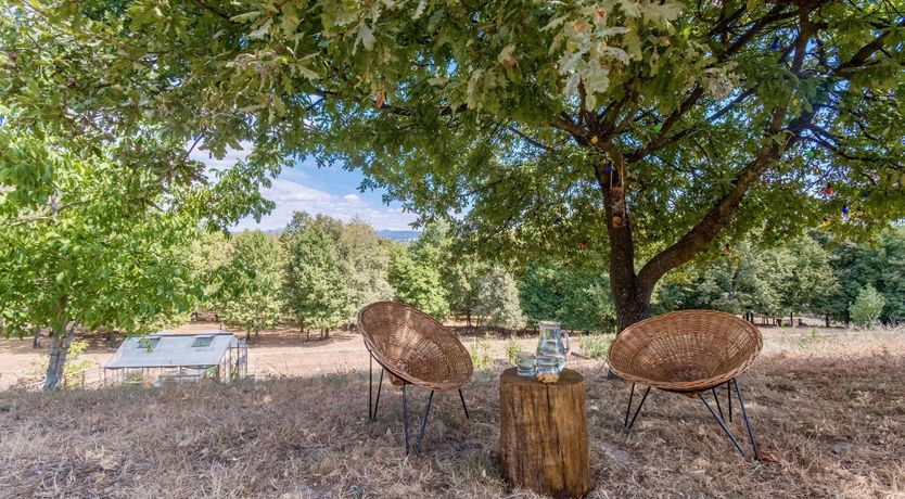 Photo of Iced Tea on the Terrace
