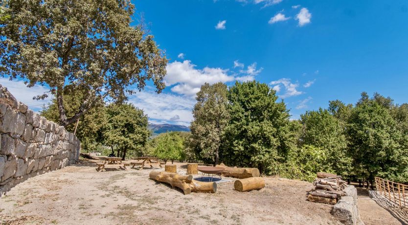 Photo of Iced Tea on the Terrace