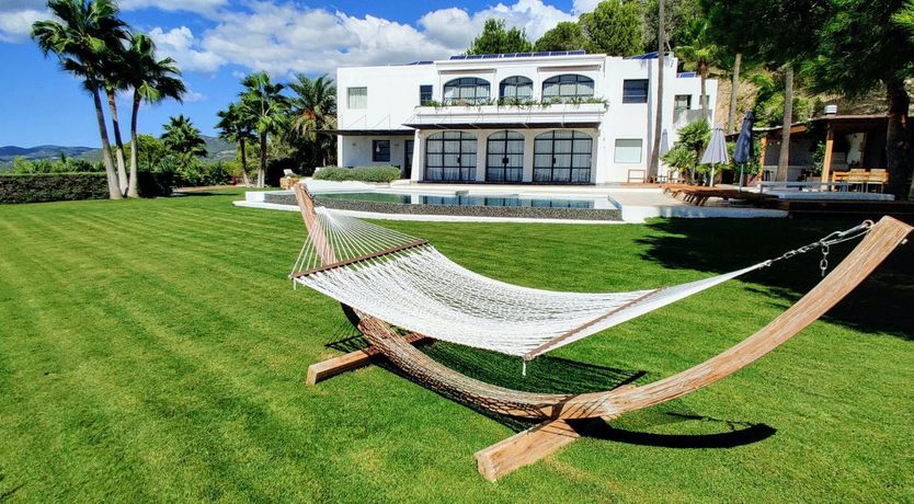 Photo of The Neon Sea