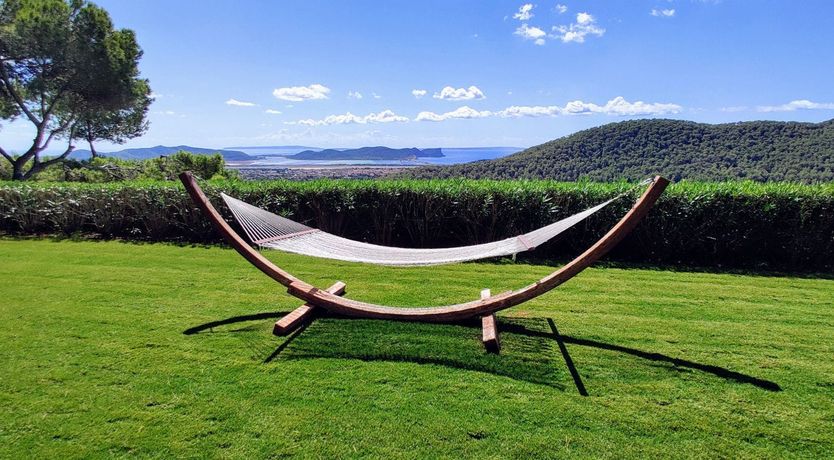 Photo of The Neon Sea