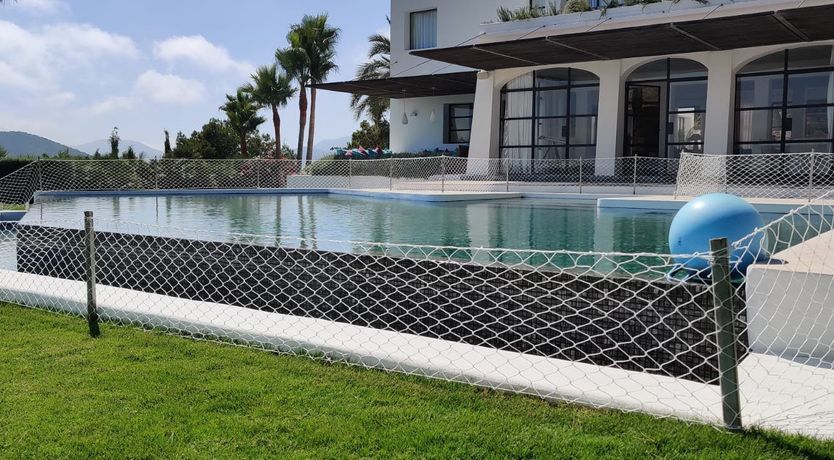 Photo of The Neon Sea