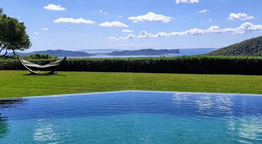 Photo of The Neon Sea