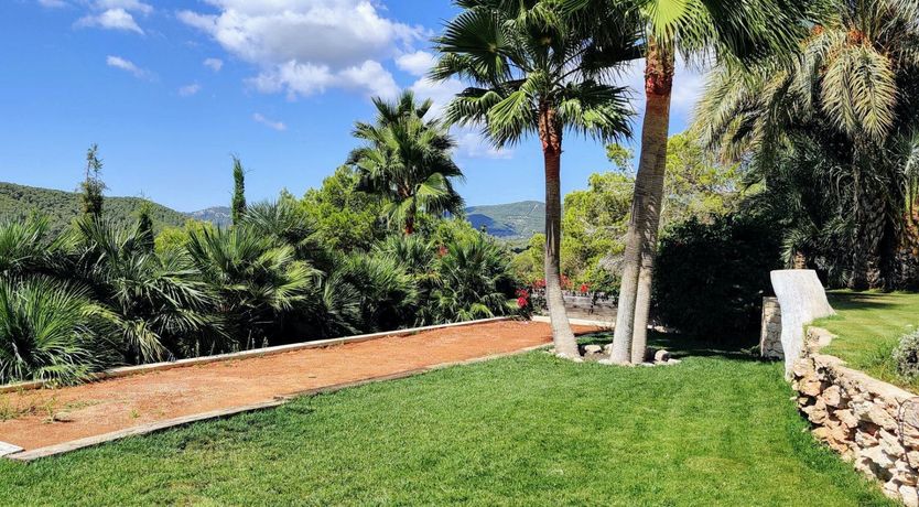 Photo of The Neon Sea