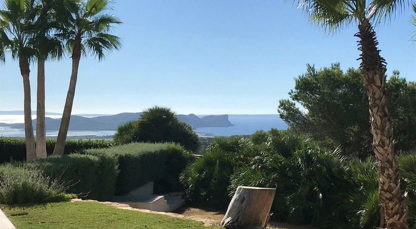 Photo of The Neon Sea