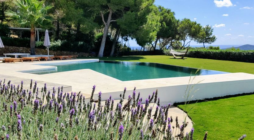 Photo of The Neon Sea