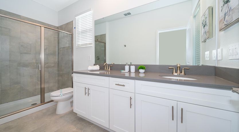 Photo of A View to a Dream