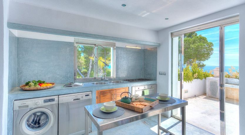 Photo of Peace Among The Palms