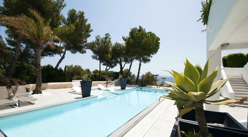 Photo of Peace Among The Palms