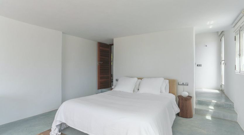 Photo of Peace Among The Palms