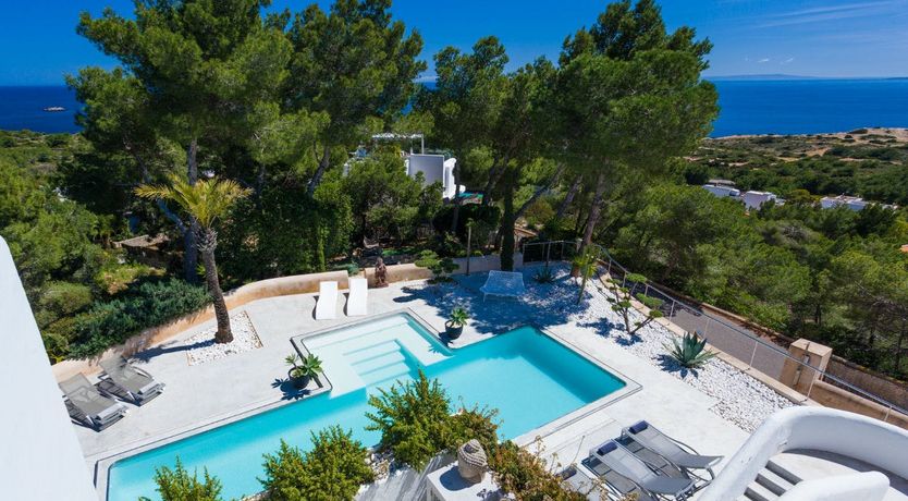 Photo of Peace Among The Palms