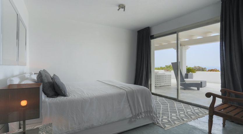 Photo of Peace Among The Palms