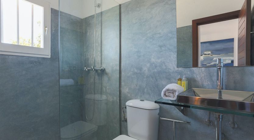 Photo of Peace Among The Palms