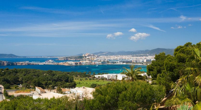 Photo of Peace Among The Palms