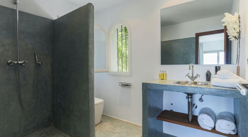 Photo of Peace Among The Palms