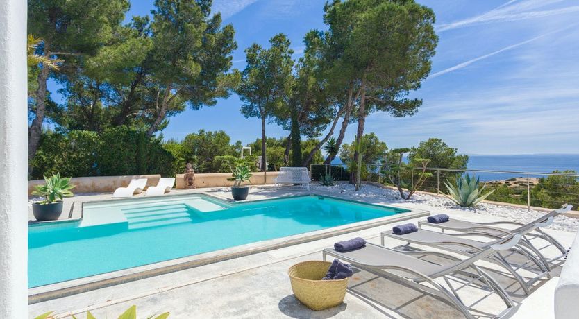 Photo of Peace Among The Palms