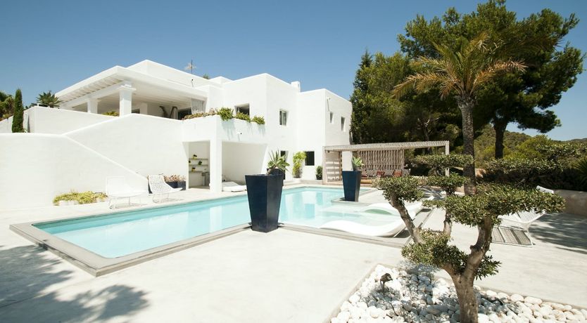 Photo of Peace Among The Palms