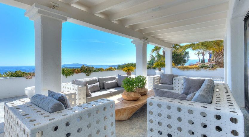 Photo of Peace Among The Palms