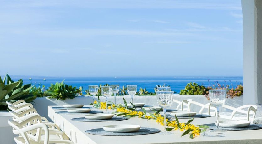 Photo of Peace Among The Palms